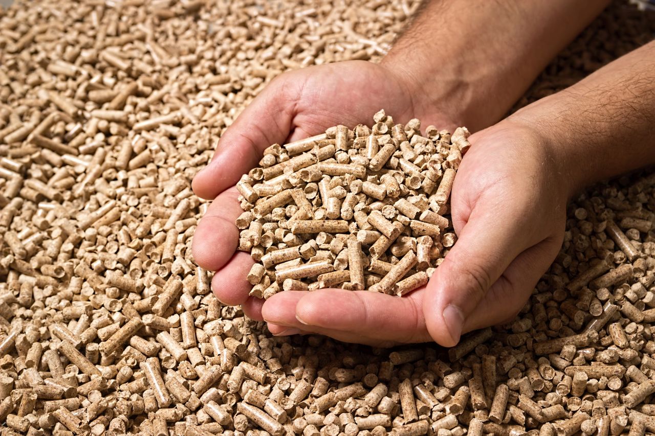 Z czego powstaje pellet – dlaczego jest on ekologicznym paliwem?